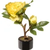 Outlet 10 in. Spring Yellow Peony Flower Pot Potted Plants