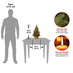 Discount 18 in.Everyday Collection Tree Full|Unlit