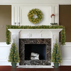 Hot Evergreen Assortment with 2 Entrance Trees, 1 Wreath, 1 Garland Assortment Bundles
