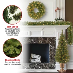 New Pre-Lit Evergreen Assortment Set of 2 Entrance Trees, 1 Wreath, 1 Garland Assortment Bundles
