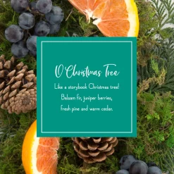 Best Scented Ornaments, 2- Pack- 6ct Bottle, O Christmas Tree, Fragrance-Infused Paper Sticks Scentsicles