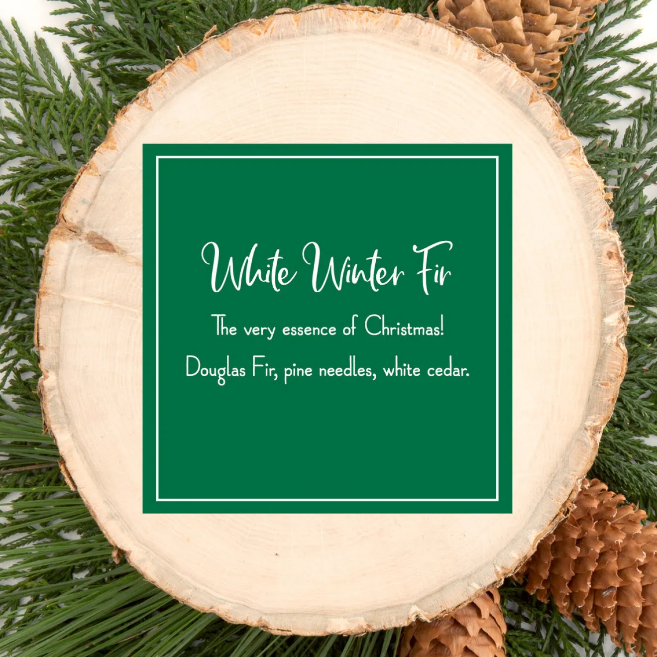 Discount Scented Ornaments, 2 Pack- 6ct Bottle, White Winter Fir, Fragrance-Infused Paper Sticks Scentsicles