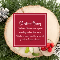 Outlet Scented Ornaments, 2-Pack- 6ct Bottle, Christmas Berry, Fragrance-Infused Paper Sticks Scentsicles