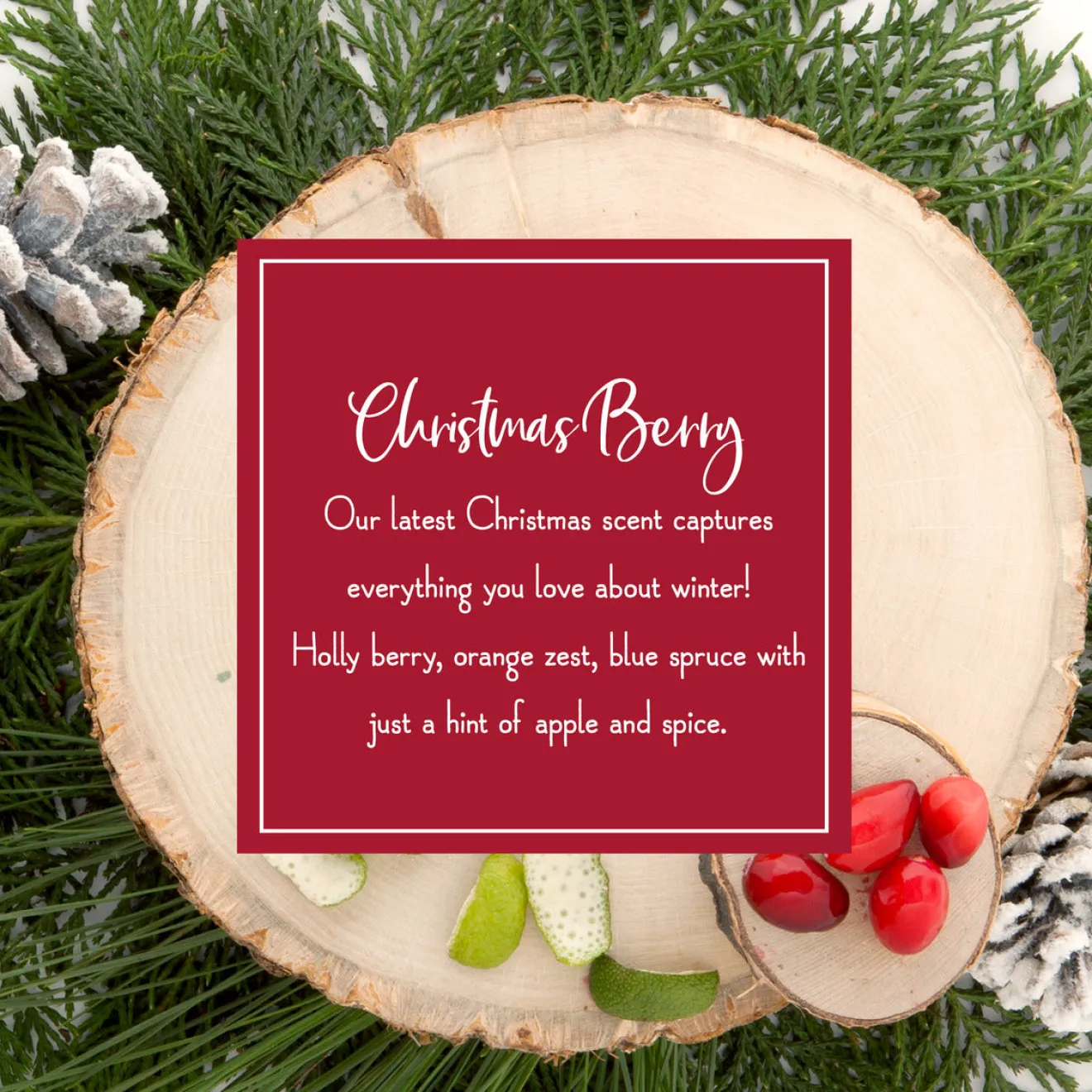 Outlet Scented Ornaments, 2-Pack- 6ct Bottle, Christmas Berry, Fragrance-Infused Paper Sticks Scentsicles