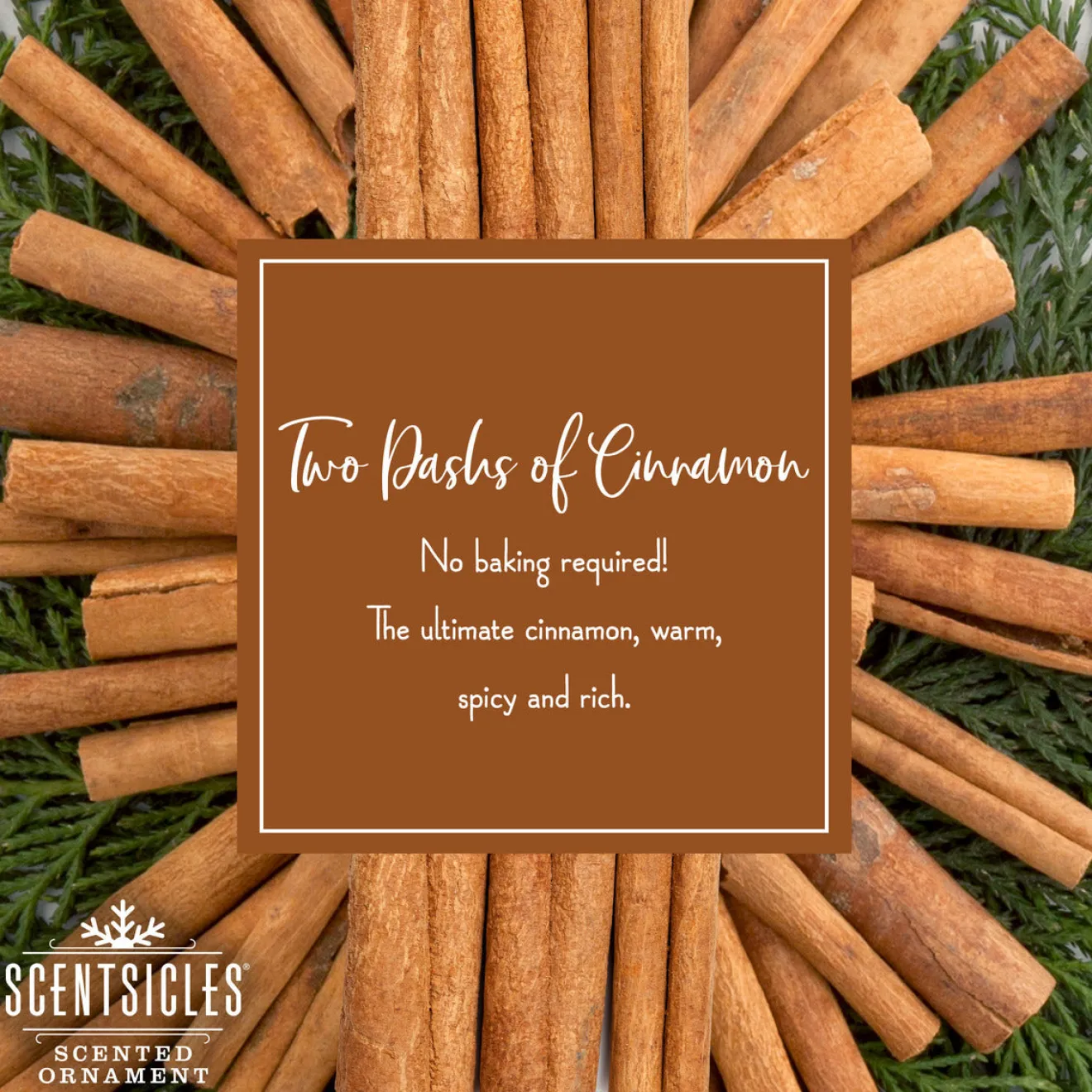 New Scented Ornaments, 2-Pack- 6ct Bottle, 2 Dashes of Cinnamon, Fragrance-Infused Paper Sticks Scentsicles