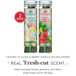 New Scentsicles, 6pc Stick, 1 Lemon 'n Lilies/ 1 Berryvines & Wildflowers- 2 pack Scentsicles