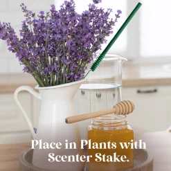 Sale Scentsicles, 6pc Stick, 1 Sun-Soaked Lavender/1 Into the Vanilla Woods- 2 pack Scentsicles