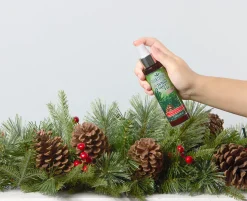 Scentsicles 6pc Stick and Spray White Winter Fir - 2 Pack Scentsicles