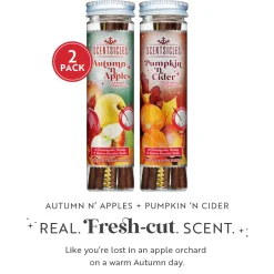 Clearance Scentsicles, 6pc Stick, Autumn 'n Apples & Pumpkin 'n Cider- 2 Pack Scentsicles