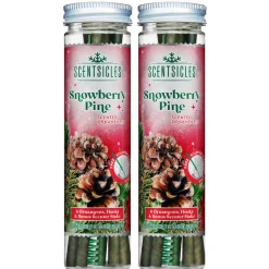 Outlet Scentsicles, 6pc Stick, Snowberry Pine - 2 Pack Scentsicles
