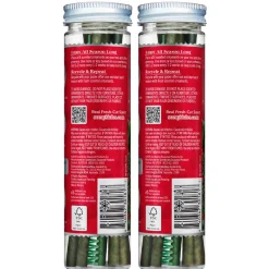 Outlet Scentsicles, 6pc Stick, Snowberry Pine - 2 Pack Scentsicles