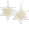 Best Scentsicles, Scented Star Ornament, White Winter Fir, 2-Pack Scentsicles
