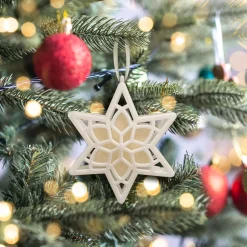 Best Scentsicles, Scented Star Ornament, White Winter Fir, 2-Pack Scentsicles