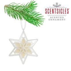 Best Scentsicles, Scented Star Ornament, White Winter Fir, 2-Pack Scentsicles